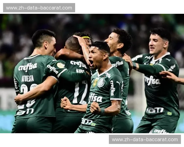 绿茵烽烟起：飓风与公鸡的灵魂碰撞——巴拉纳竞技对阵米内罗竞技的史诗篇章